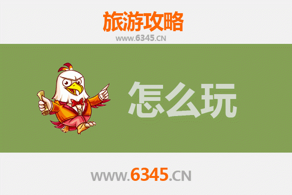 节假日云林土库深度游：古韵小镇的文化寻踪与美食之旅